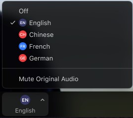 Hướng dẫn sử dụng tính năng phiên dịch của zoom