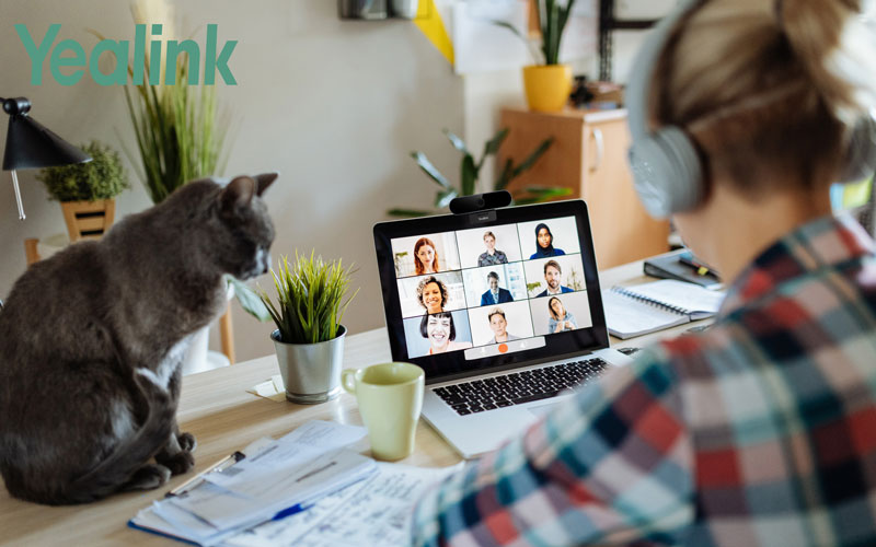 webcam-ho-tro-lam-viec-tai-nha