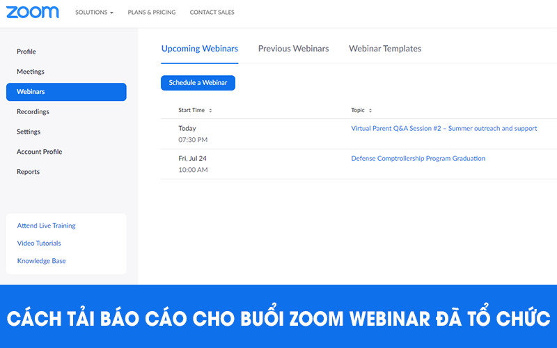 Cách tải báo cáo cho buổi Zoom Webinar đã tổ chức