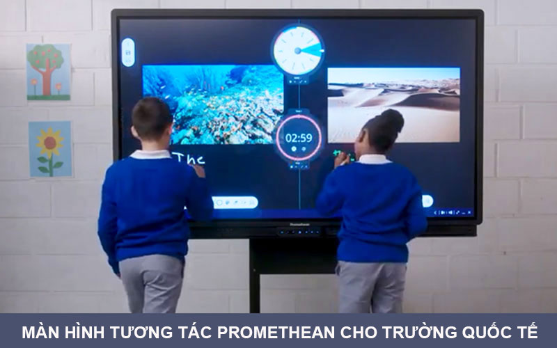 Màn hình tương tác cho trường quốc tế