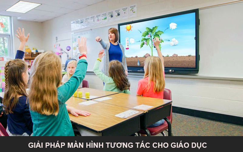 Giải pháp màn hình tương tác cho giáo dục