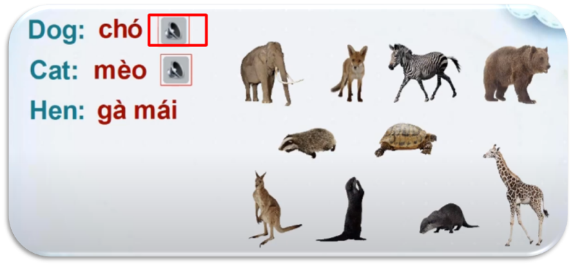 Lớp học thông minh giải pháp cho giáo dục